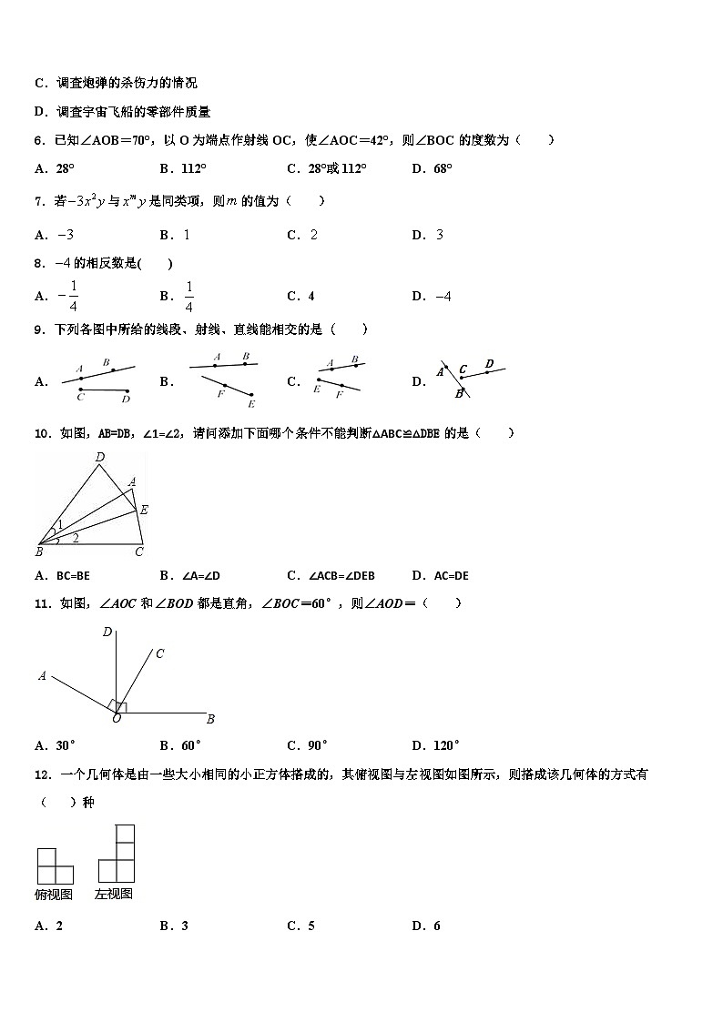 2026届四川省眉山洪雅县联考数学七上期末质量检测试题含解析第2页