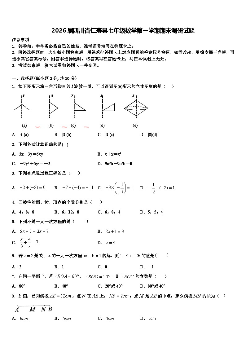 2026届四川省仁寿县七年级数学第一学期期末调研试题含解析第1页