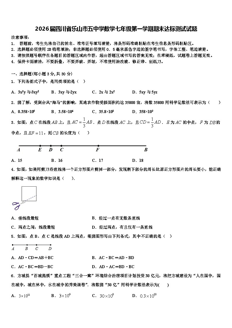 2026届四川省乐山市五中学数学七年级第一学期期末达标测试试题含解析第1页
