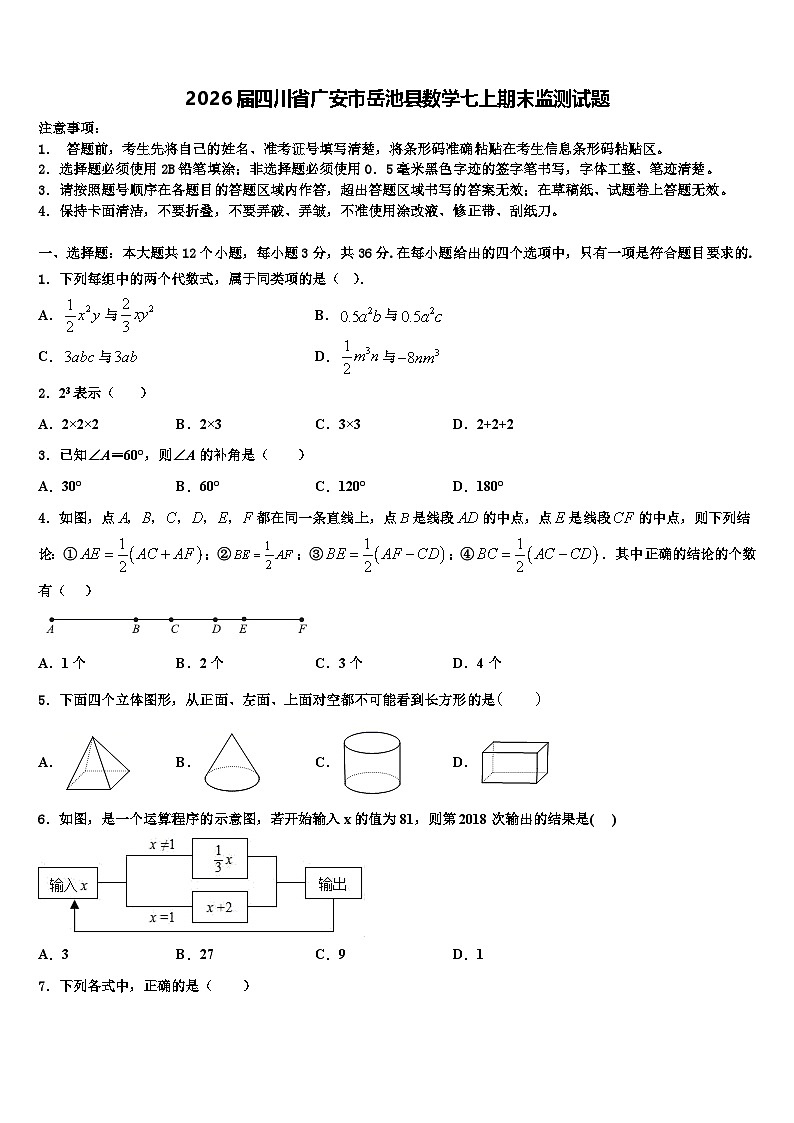 2026届四川省广安市岳池县数学七上期末监测试题含解析第1页