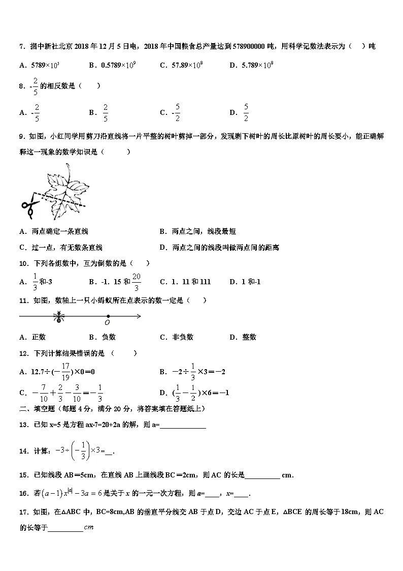 2026届四川省广元市苍溪县数学七上期末学业水平测试试题含解析第2页