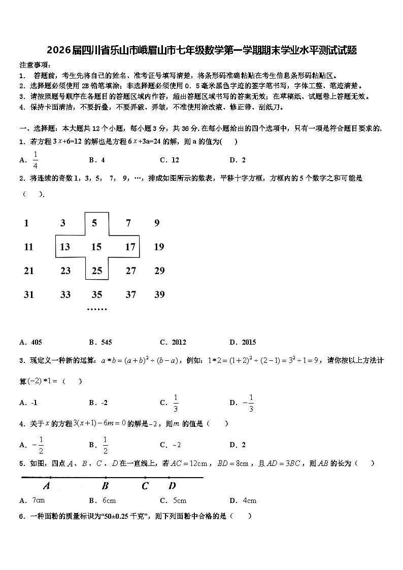2026届四川省乐山市峨眉山市七年级数学第一学期期末学业水平测试试题含解析第1页