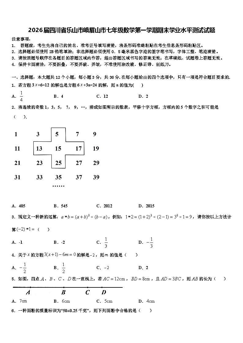 2026届四川省乐山市峨眉山市七年级数学第一学期期末学业水平测试试题含解析第1页