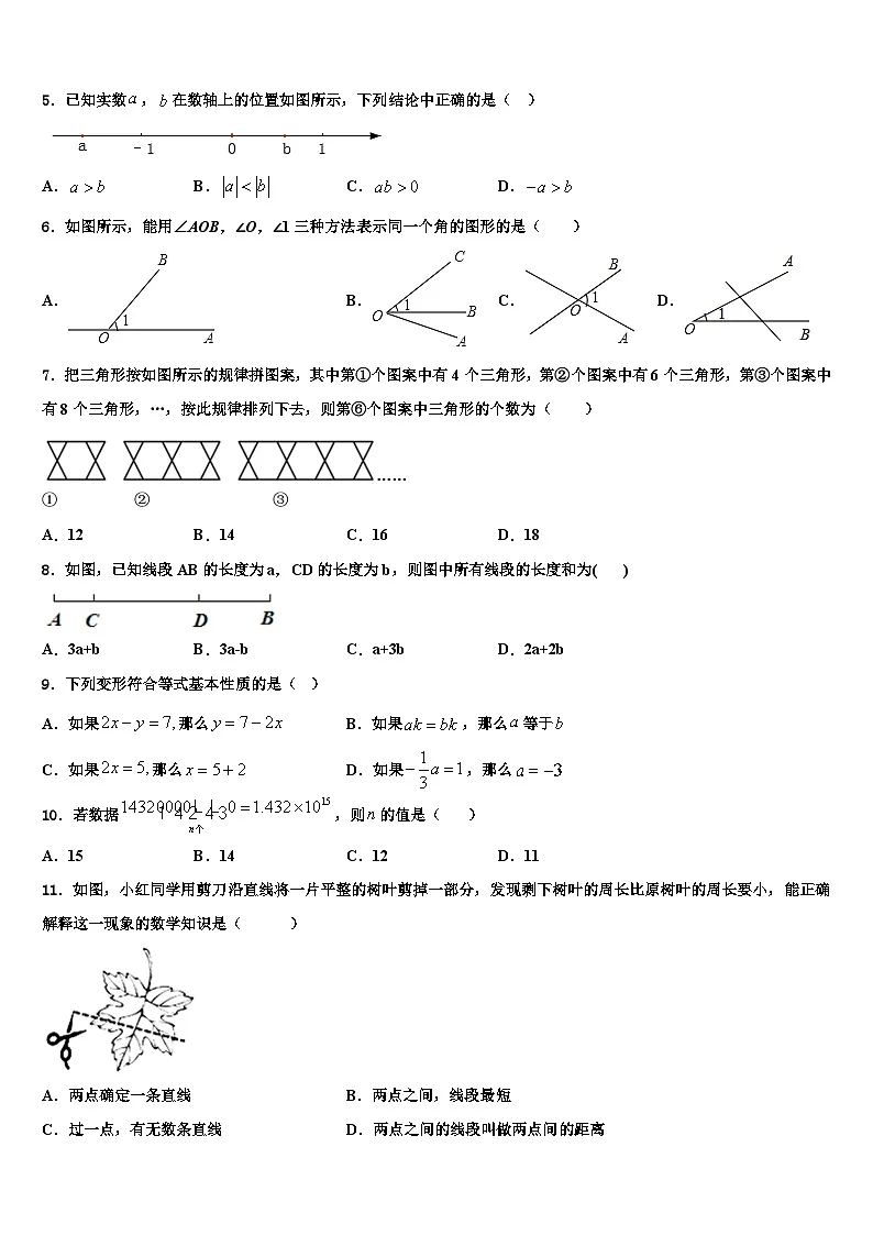 2026届新疆维吾尔自治区乌鲁木齐市七年级数学第一学期期末调研试题含解析第2页