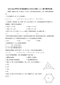 2025-2026学年江苏省盐城市大丰区九年级(上)期中数学试卷