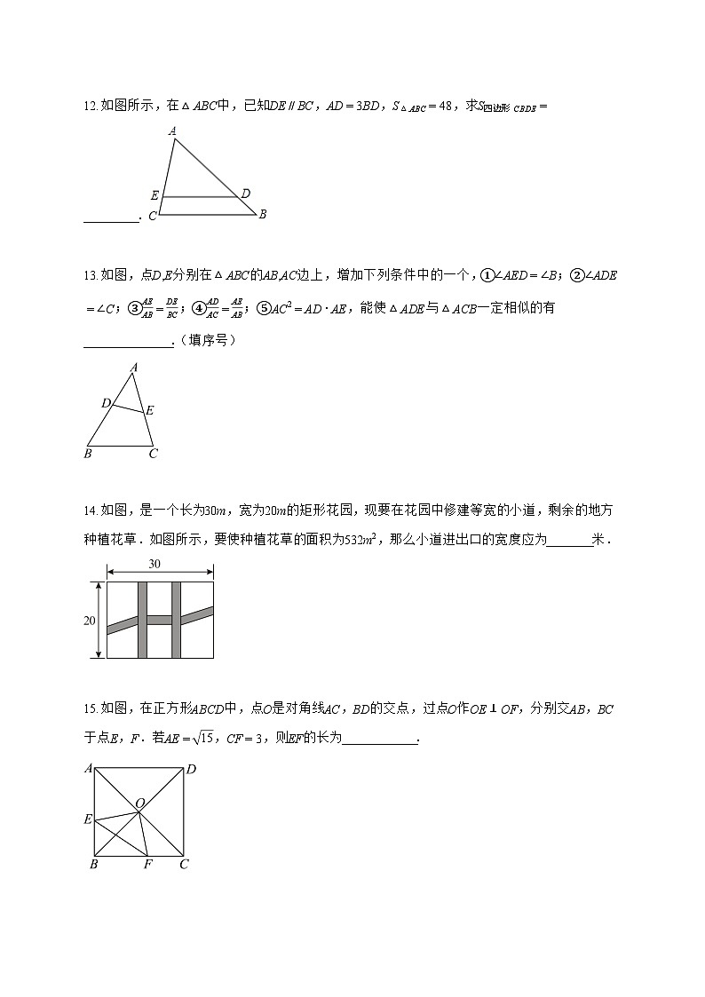 2025~2026学年山东省泰安市新泰市八年级下学期7月期末数学试卷【附解析】第3页