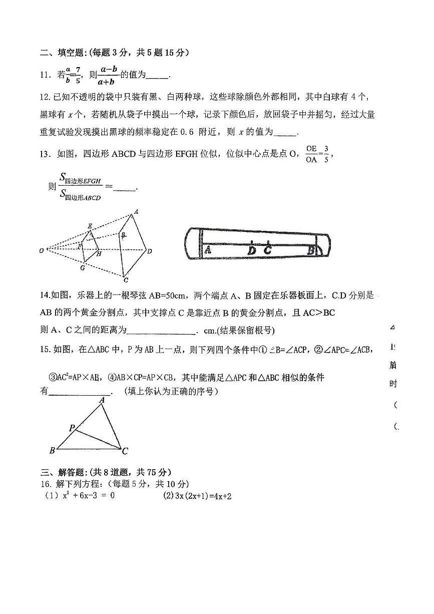 辽宁省丹东市九校联考2025-2026学年九年级上学期11月月考数学试题第3页