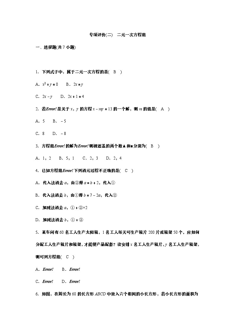 专项评价(二)　二元一次方程组第1页