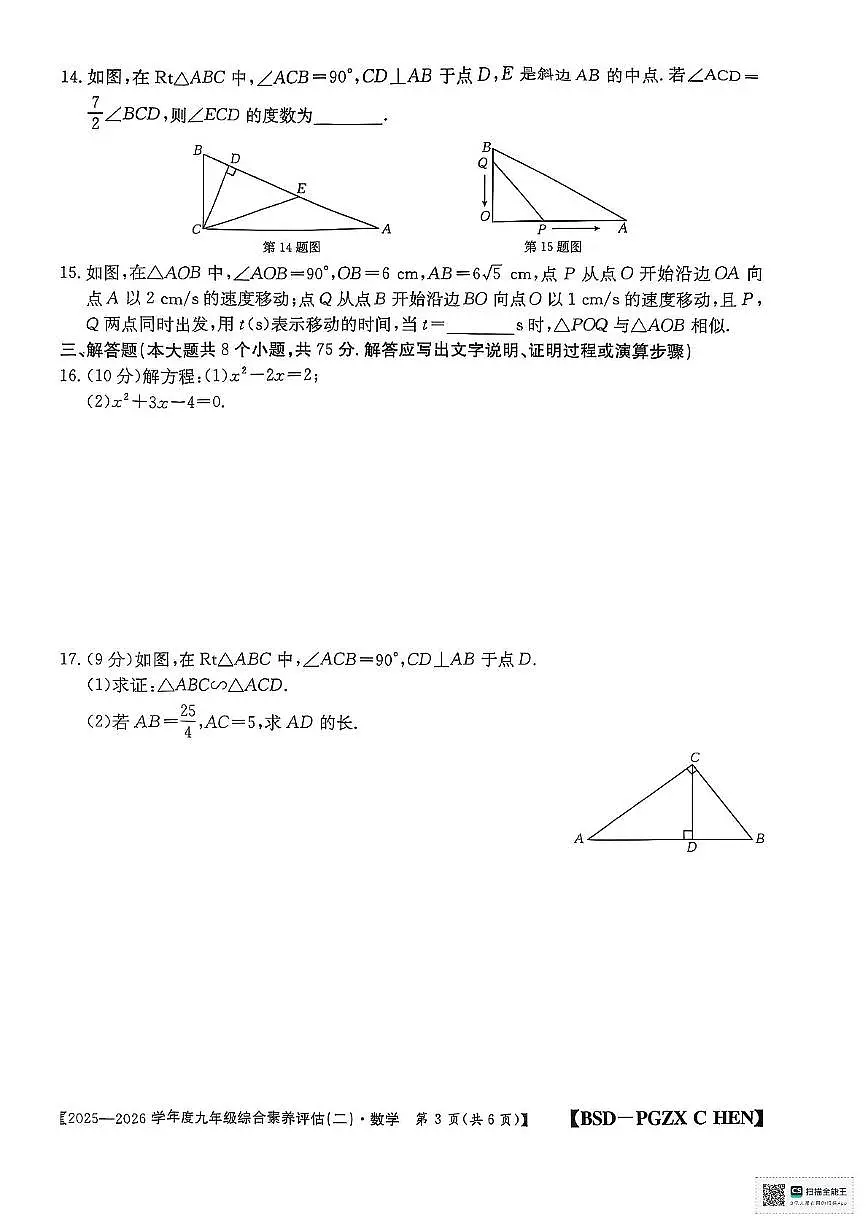 河南省周口市项城市2025-2026学年九年级上学期11月综合评估二数学试卷（月考）第3页