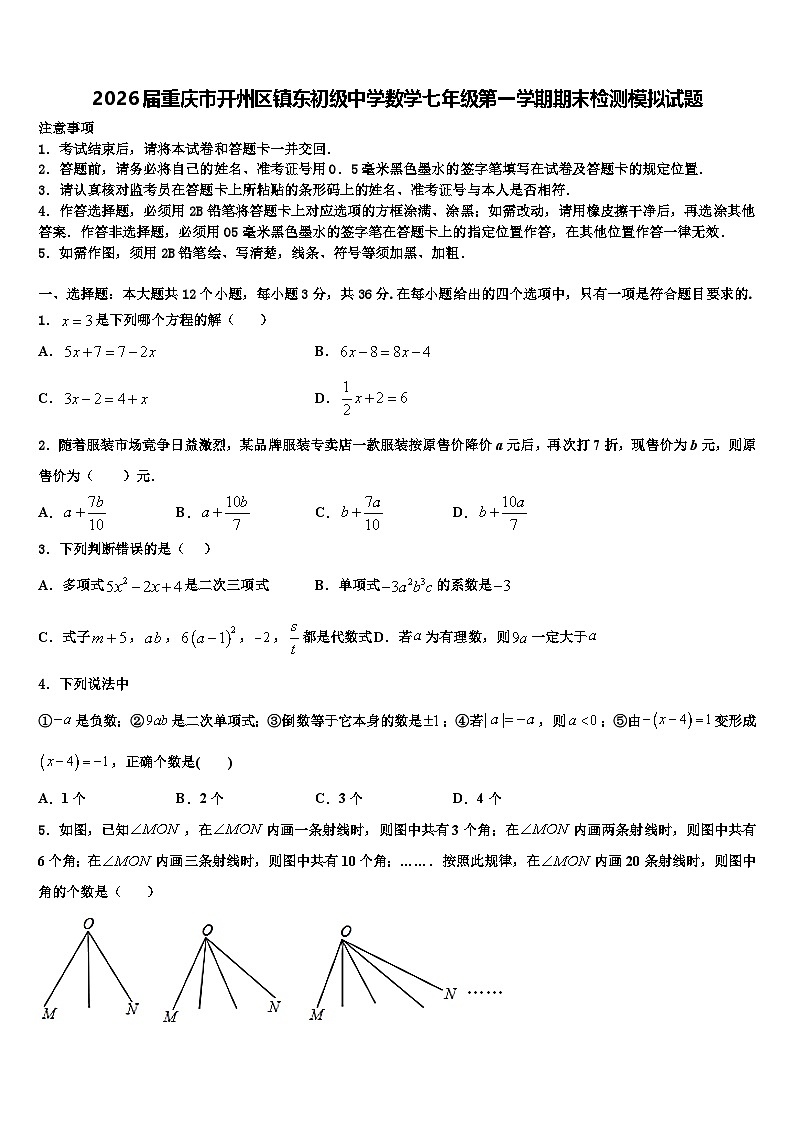 2026届重庆市开州区镇东初级中学数学七年级第一学期期末检测模拟试题含解析第1页