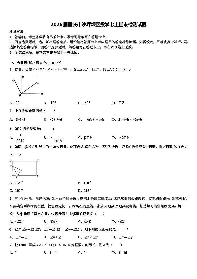 2026届重庆市沙坪坝区数学七上期末检测试题含解析第1页