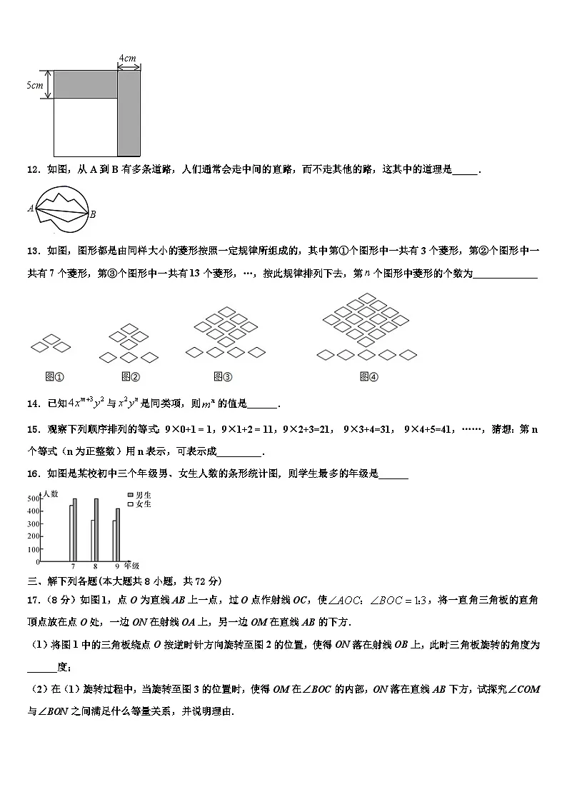 福建省华安中学2026届七年级数学第一学期期末教学质量检测试题含解析第3页