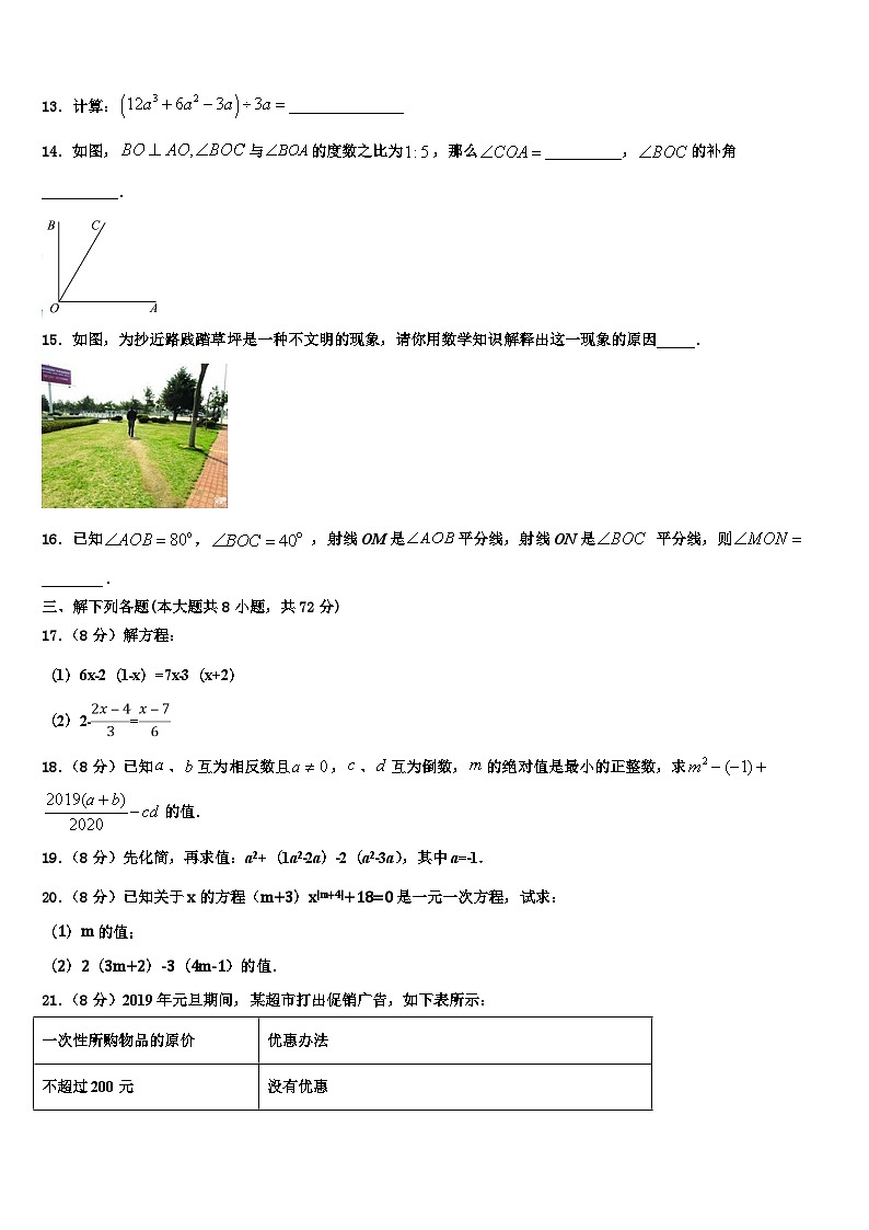 北京大兴北臧村中学2026届数学七年级第一学期期末质量跟踪监视模拟试题含解析第3页