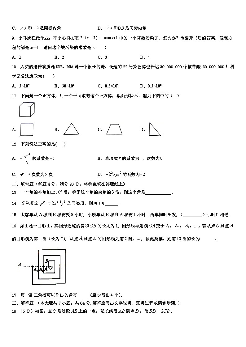 北京师范大附属实验中学2026届数学七年级第一学期期末综合测试试题含解析第2页