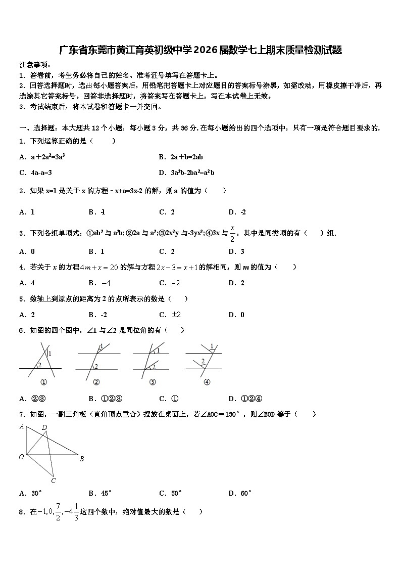 广东省东莞市黄江育英初级中学2026届数学七上期末质量检测试题含解析第1页