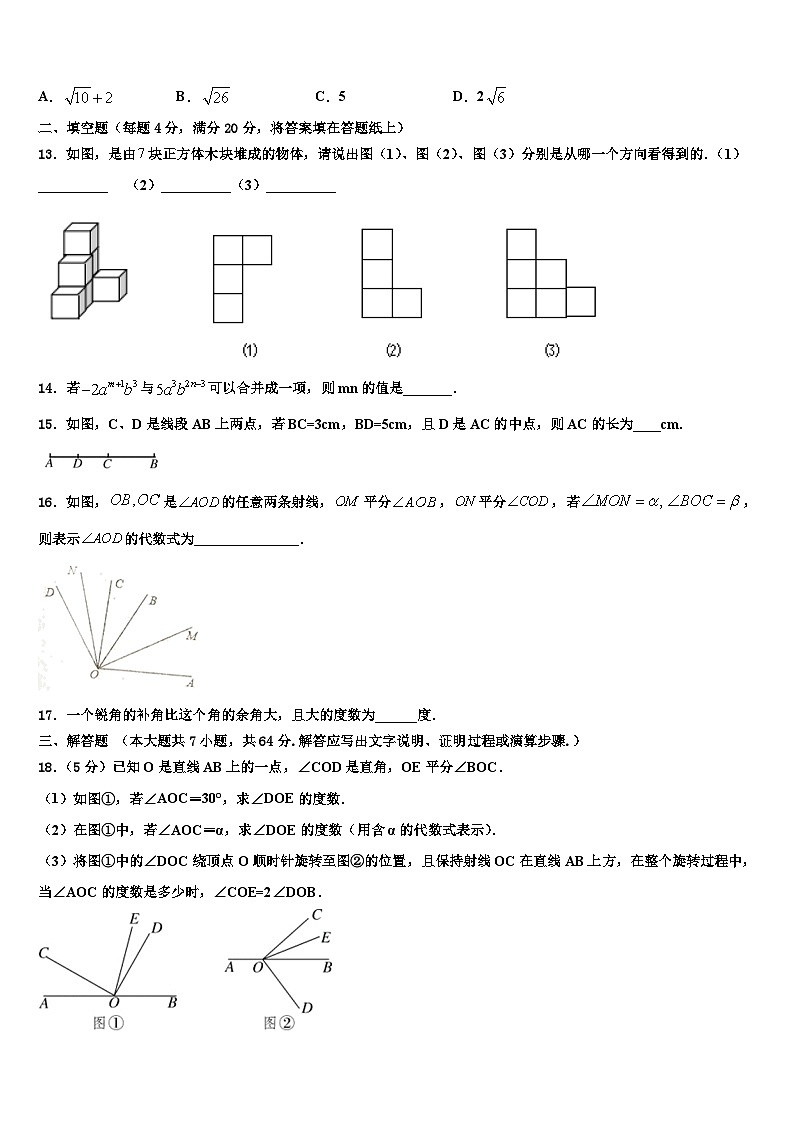 广东省东莞市南开实验学校2026届数学七年级第一学期期末综合测试模拟试题含解析第3页