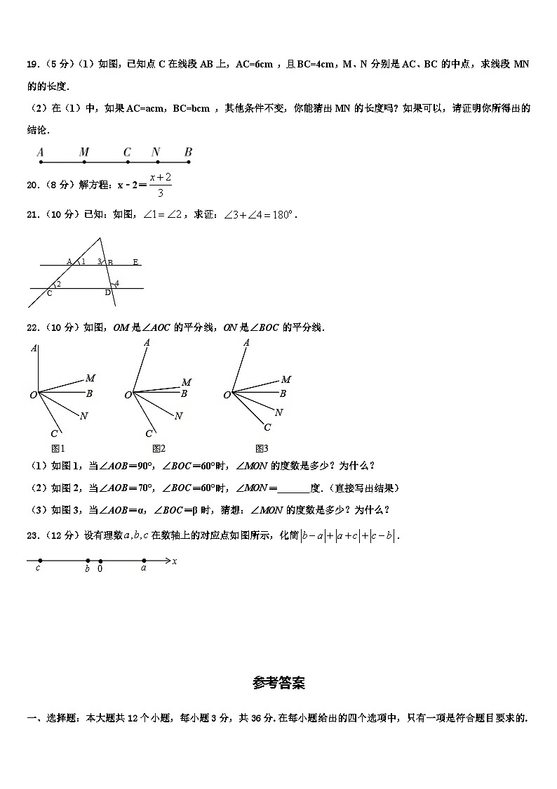 甘肃省白银市育才中学2026届七年级数学第一学期期末综合测试试题含解析第3页