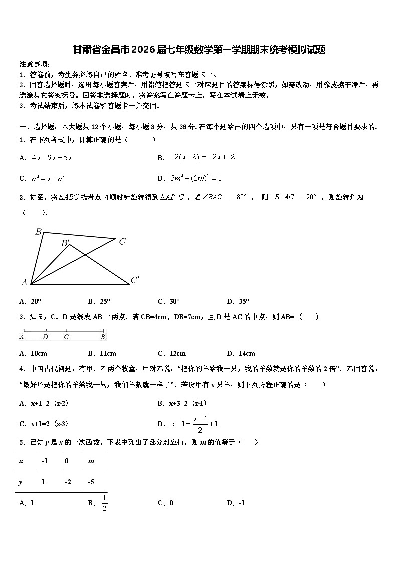 甘肃省金昌市2026届七年级数学第一学期期末统考模拟试题含解析第1页