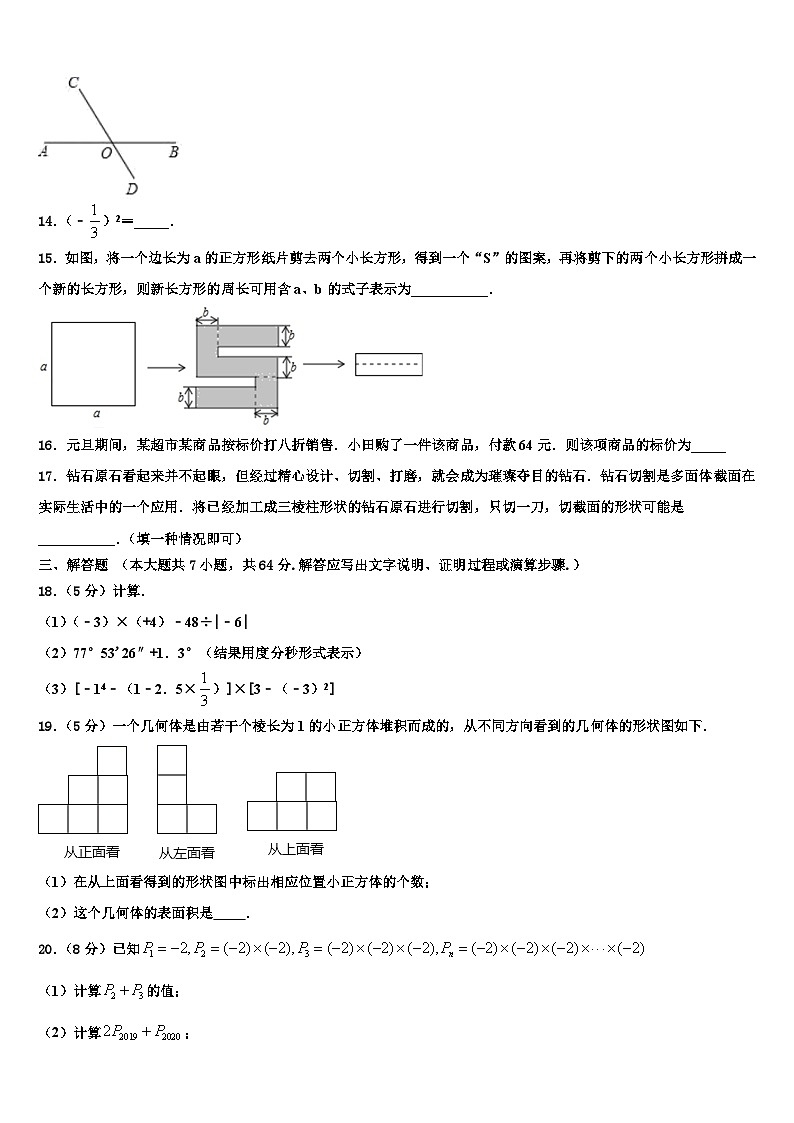 广东省梅州市梅江区伯聪学校2026届数学七上期末教学质量检测模拟试题含解析第3页