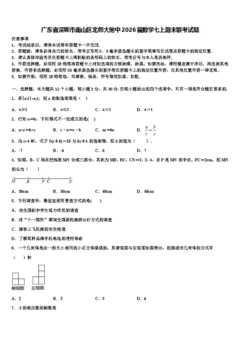 广东省深圳市南山区北师大附中2026届数学七上期末联考试题含解析第1页