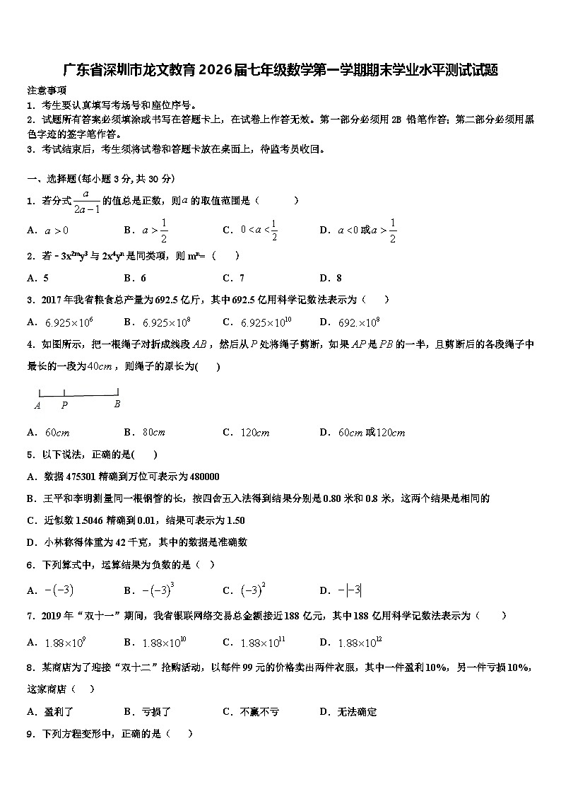 广东省深圳市龙文教育2026届七年级数学第一学期期末学业水平测试试题含解析第1页