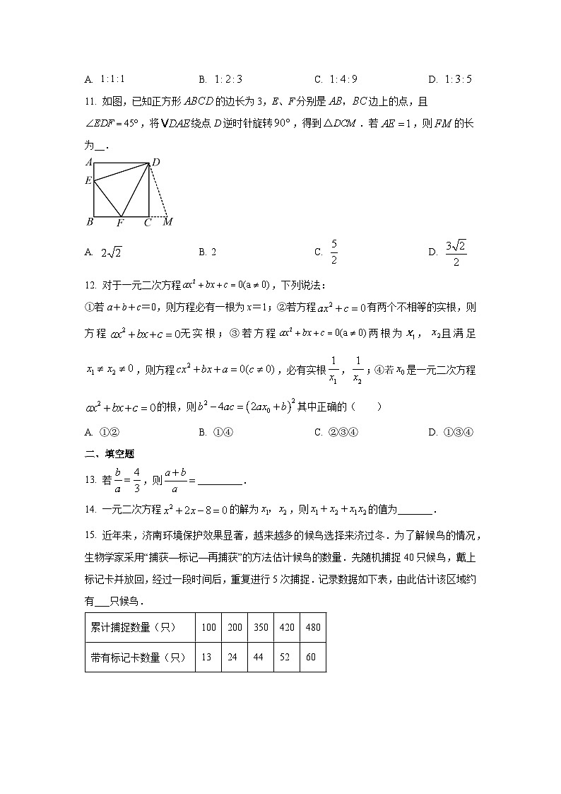 贵州省六盘水市2024-2025学年九年级上学期期中数学试卷（学生版）第3页