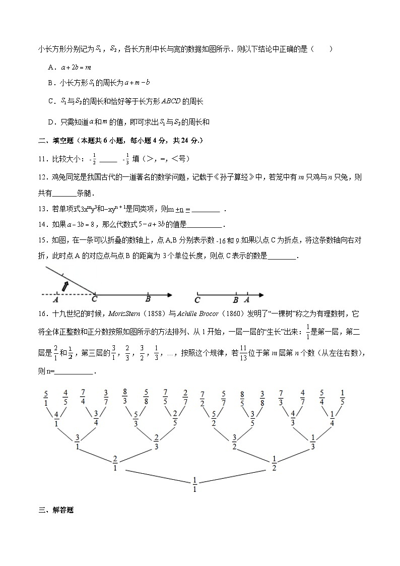 福建省莆田哲理中学2025-2026学年七年级上学期11月期中 数学试题第2页