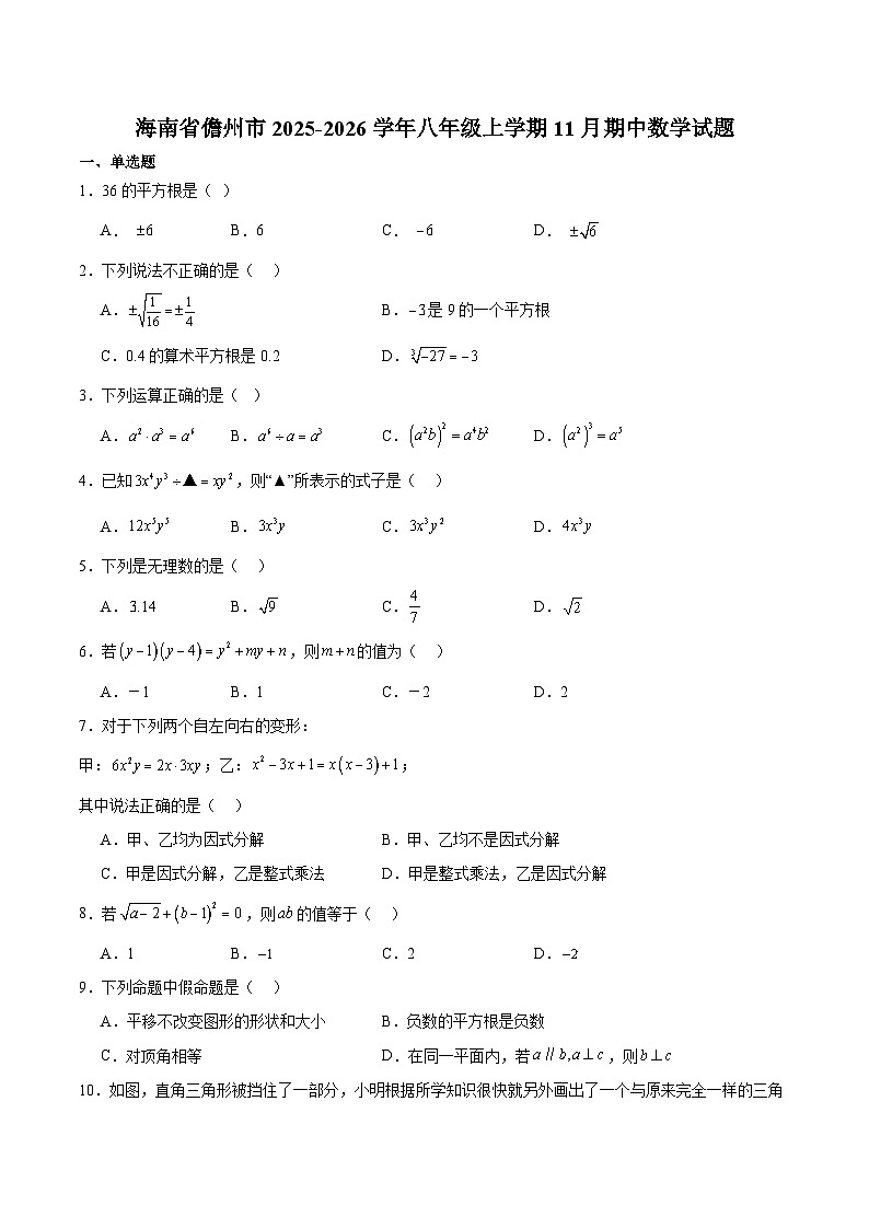 海南省儋州市2025-2026学年八年级上学期11月期中考试 数学试卷第1页