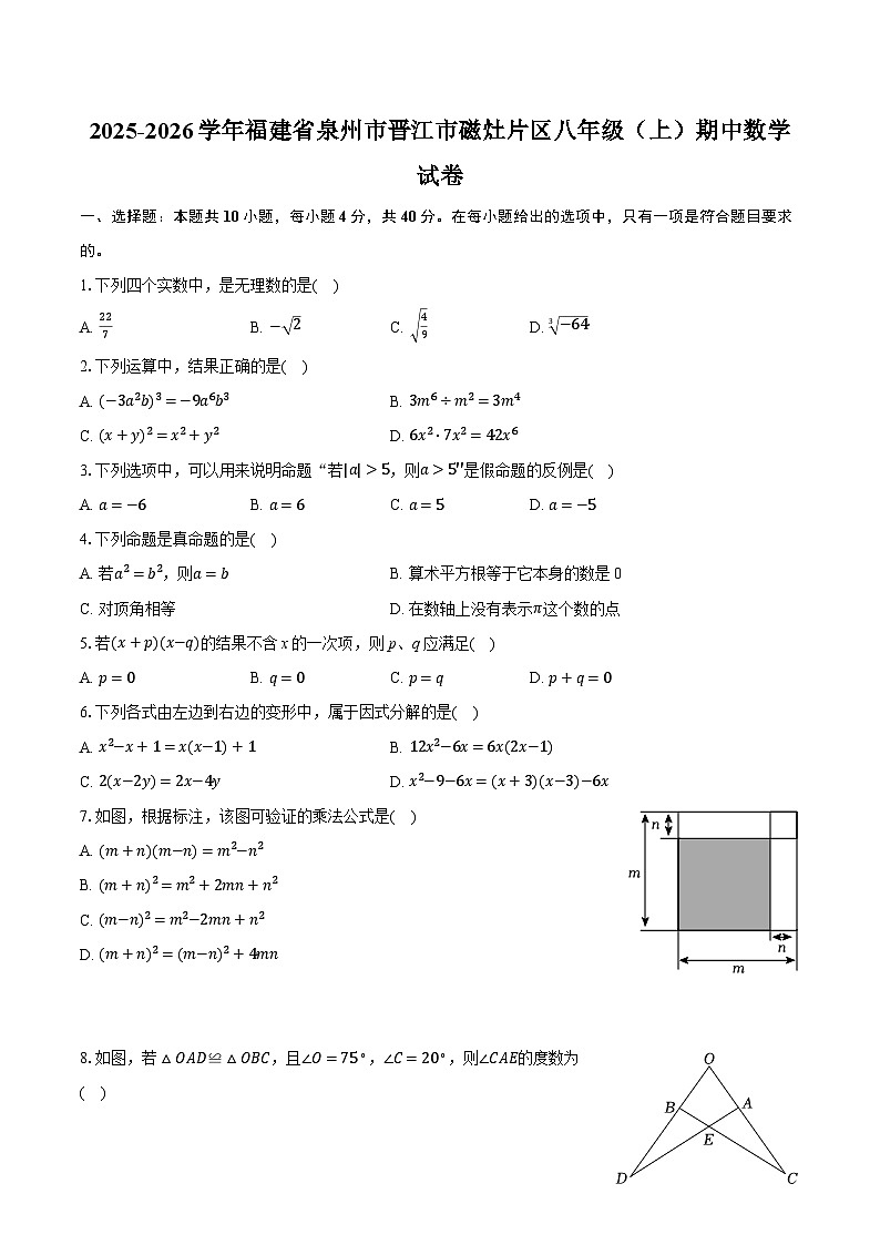 2025-2026学年福建省泉州市晋江市磁灶片区八年级（上）期中数学试卷第1页