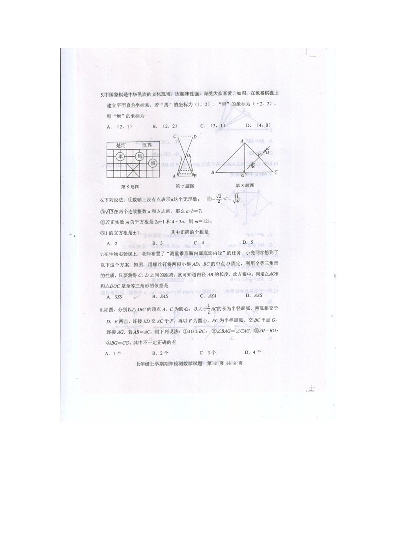 山东省泰安市新泰市2024-2025学年七年级上学期1月期末数学试题第2页