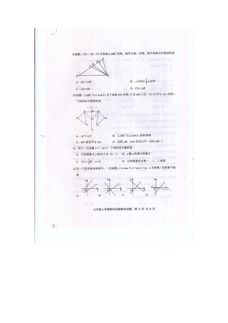 山东省泰安市新泰市2024-2025学年七年级上学期1月期末数学试题第3页
