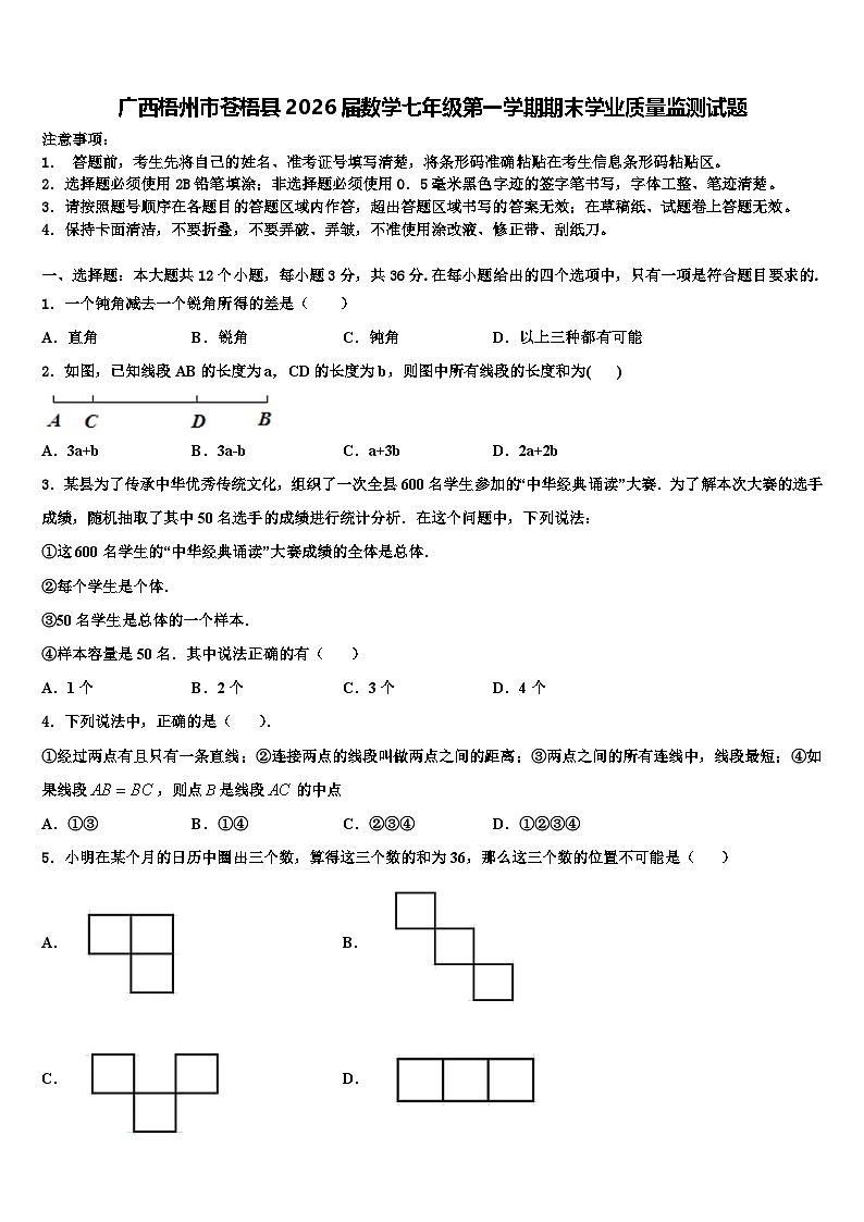 广西梧州市苍梧县2026届数学七年级第一学期期末学业质量监测试题含解析第1页
