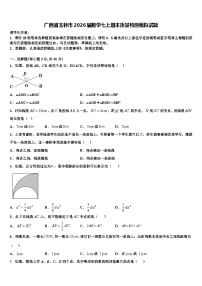 广西省玉林市2026届数学七上期末质量检测模拟试题含解析
