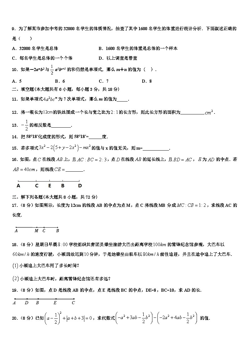 海南省琼中学县2026届七年级数学第一学期期末质量跟踪监视模拟试题含解析第2页