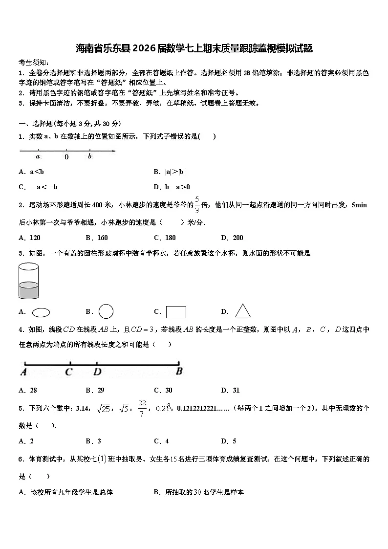 海南省乐东县2026届数学七上期末质量跟踪监视模拟试题含解析第1页