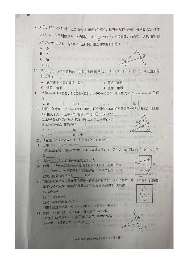 四川省巴中市2024-2025学年八年级上学期1月期末考试数学试卷第2页