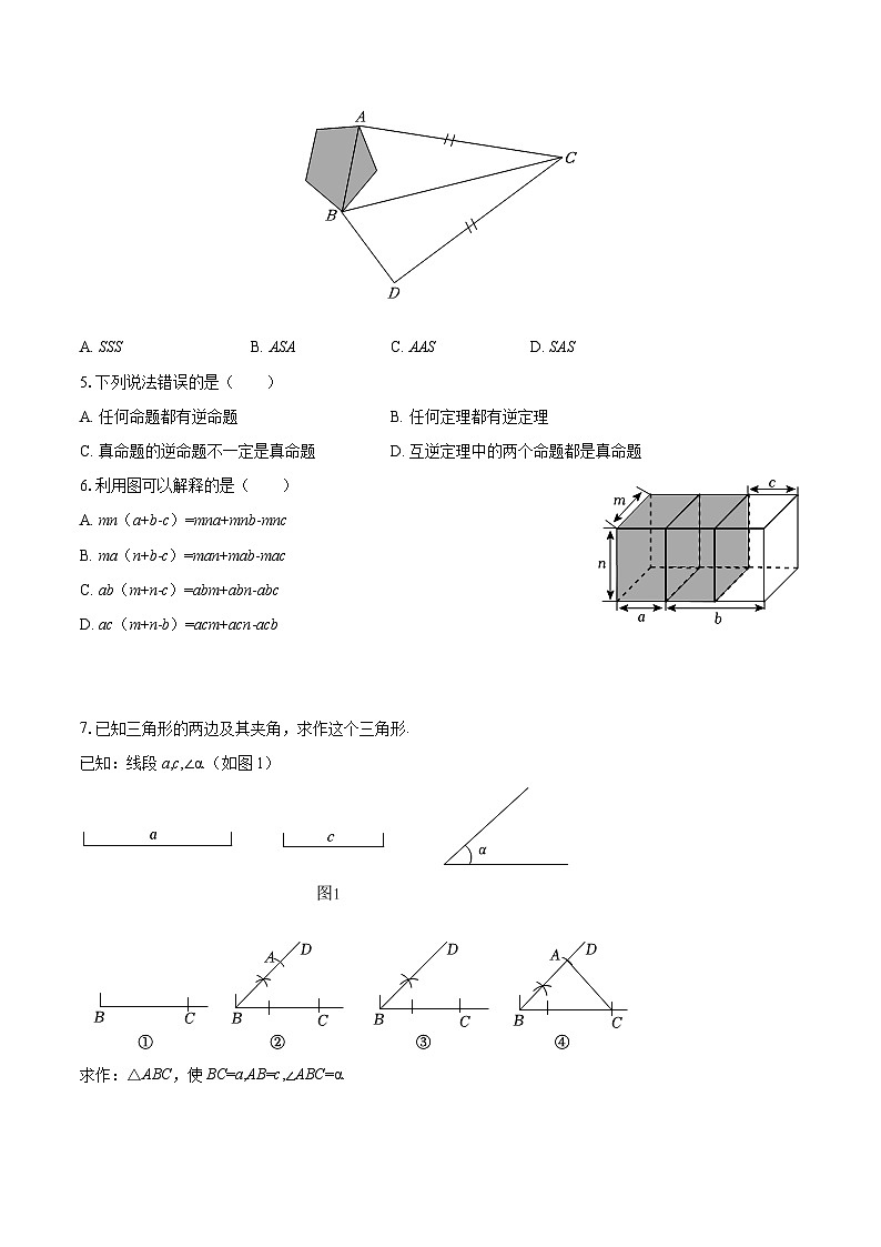2025-2026学年山东省德州市天衢新区八年级（上）期中数学试卷-自定义类型第2页