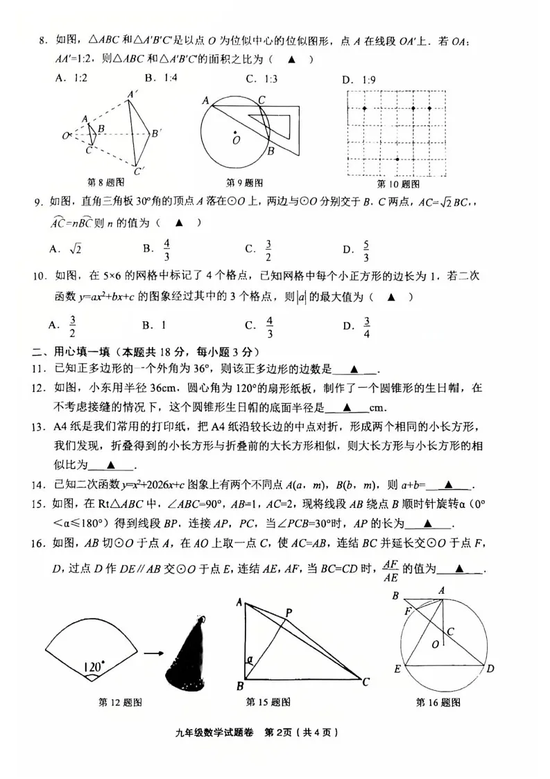 浙江省金华市东阳市2024-2025学年九年级上学期1月期末考试数学试题第2页