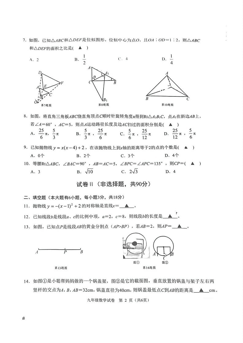 浙江省绍兴市诸暨市2024-2025学年九年级上学期1月期末考试数学试卷第2页