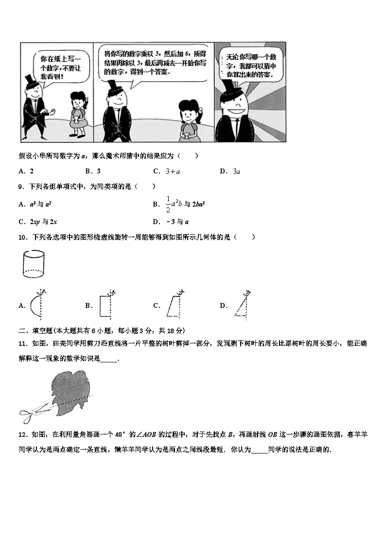 河北省秦皇岛抚宁区台营学区2026届七年级数学第一学期期末考试模拟试题含解析第2页