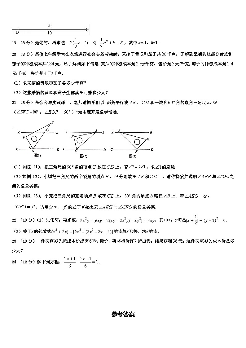 河北省石家庄市裕华区第四十中学2026届七年级数学第一学期期末统考试题含解析第3页