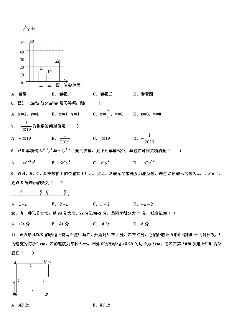 河北省石家庄市裕华区实验中学2026届数学七上期末检测模拟试题含解析第2页