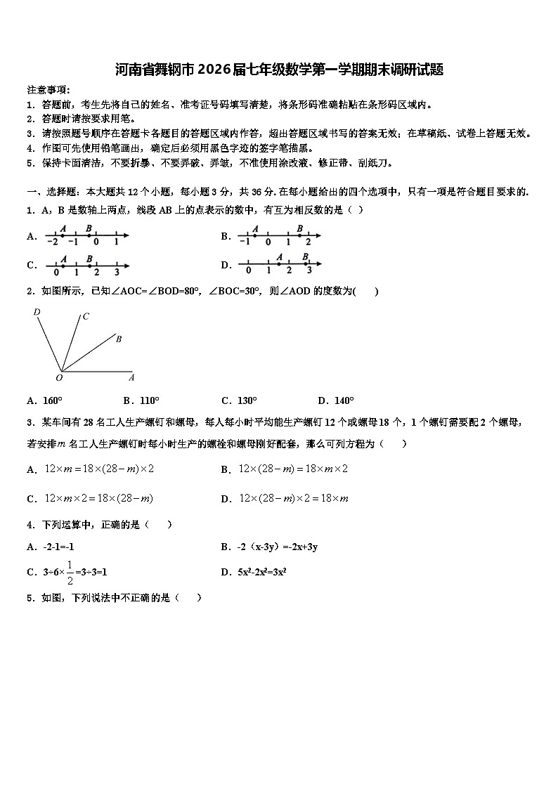 河南省舞钢市2026届七年级数学第一学期期末调研试题含解析第1页