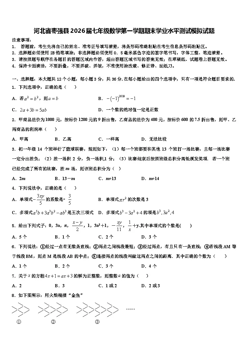 河北省枣强县2026届七年级数学第一学期期末学业水平测试模拟试题含解析第1页