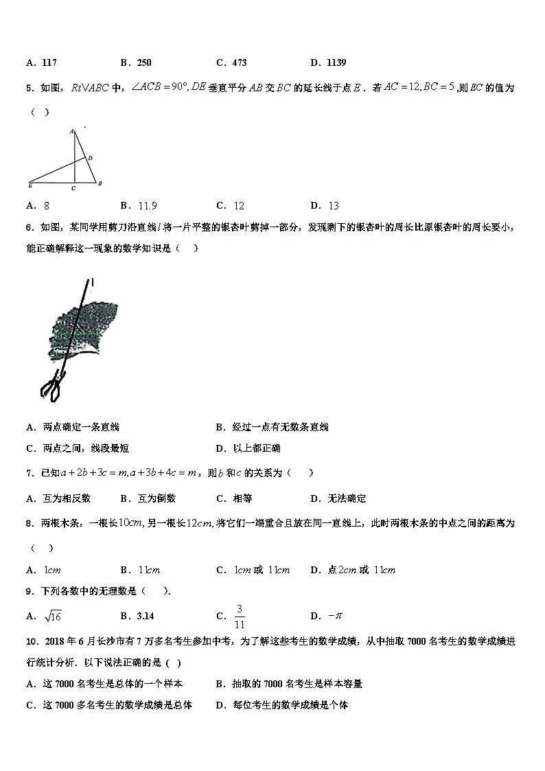 黑龙江省海伦市第五中学2026届七年级数学第一学期期末复习检测试题含解析第2页
