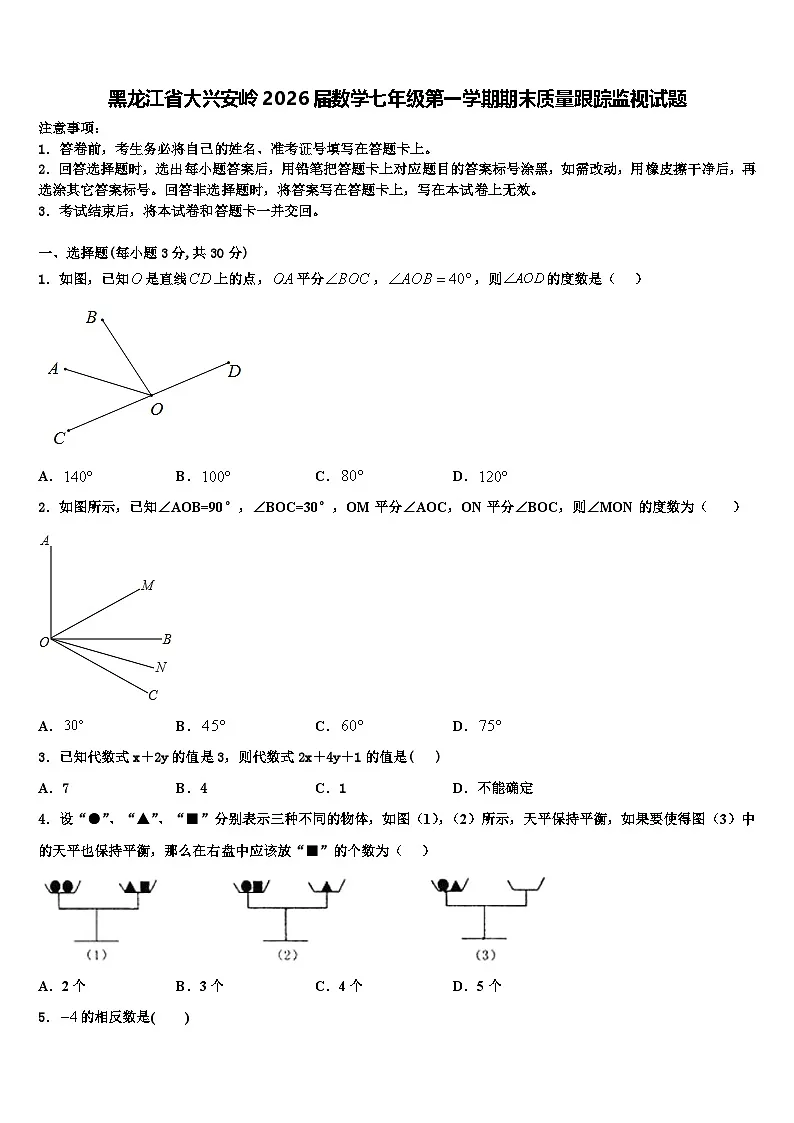 黑龙江省大兴安岭2026届数学七年级第一学期期末质量跟踪监视试题含解析第1页