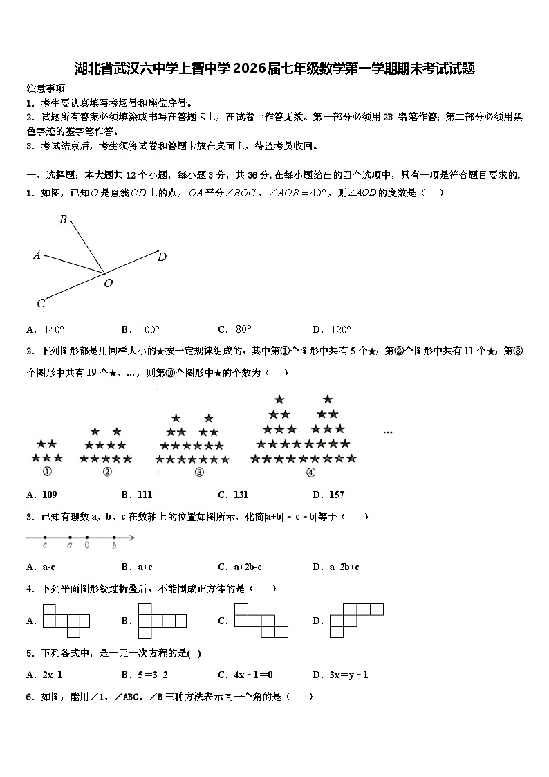 湖北省武汉六中学上智中学2026届七年级数学第一学期期末考试试题含解析第1页