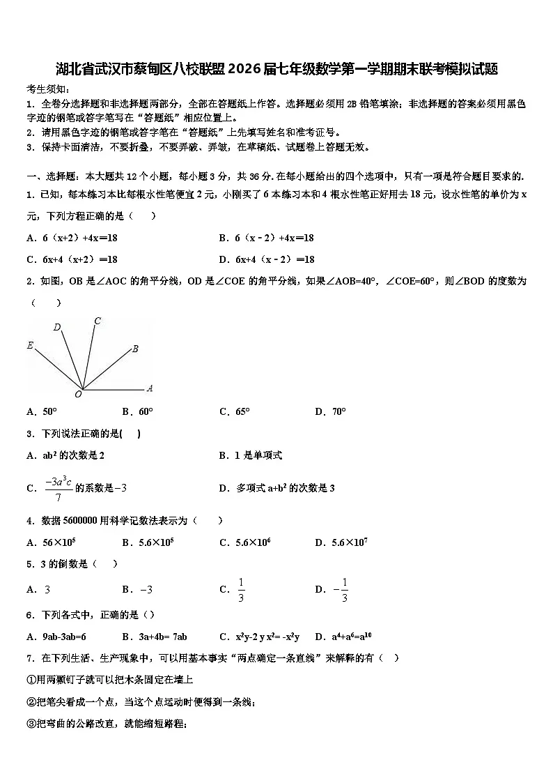 湖北省武汉市蔡甸区八校联盟2026届七年级数学第一学期期末联考模拟试题含解析第1页