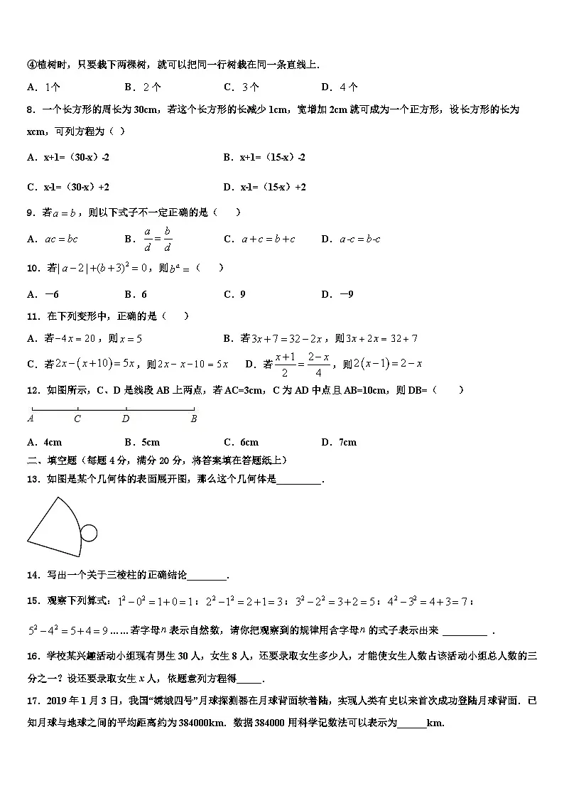 湖北省武汉市蔡甸区八校联盟2026届七年级数学第一学期期末联考模拟试题含解析第2页