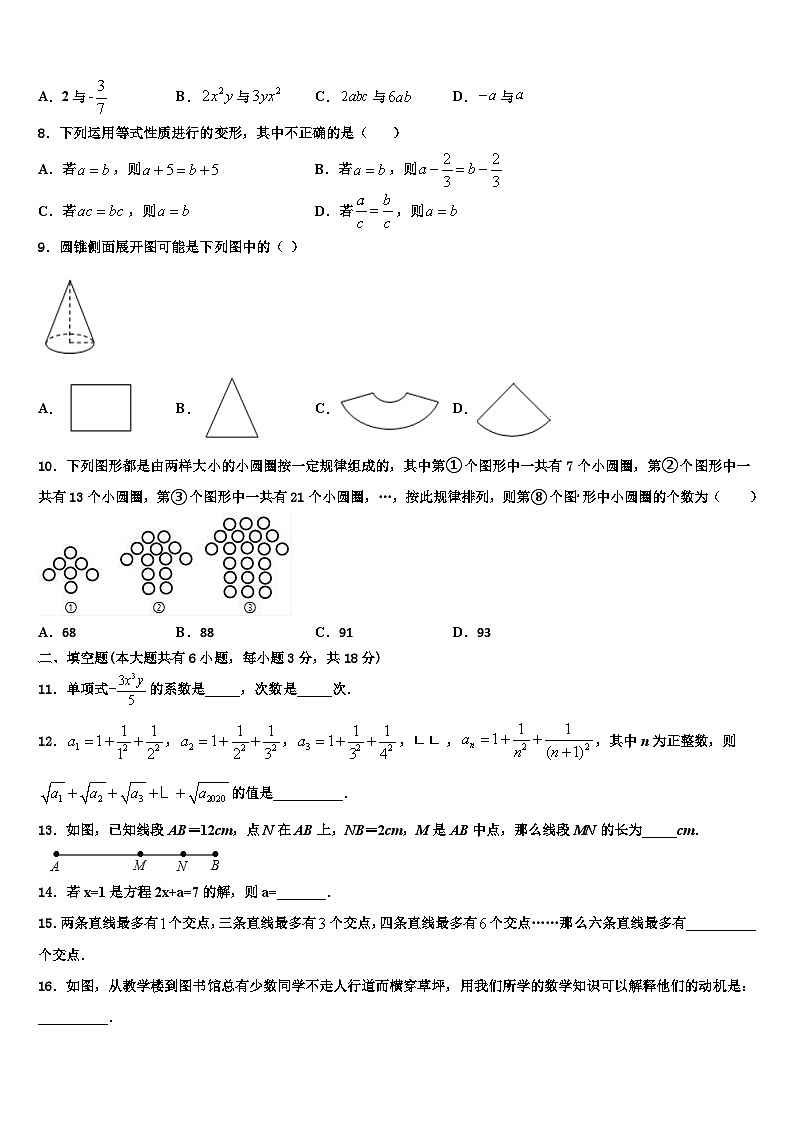 湖南省长沙市浏阳市2026届数学七年级第一学期期末质量检测试题含解析第2页